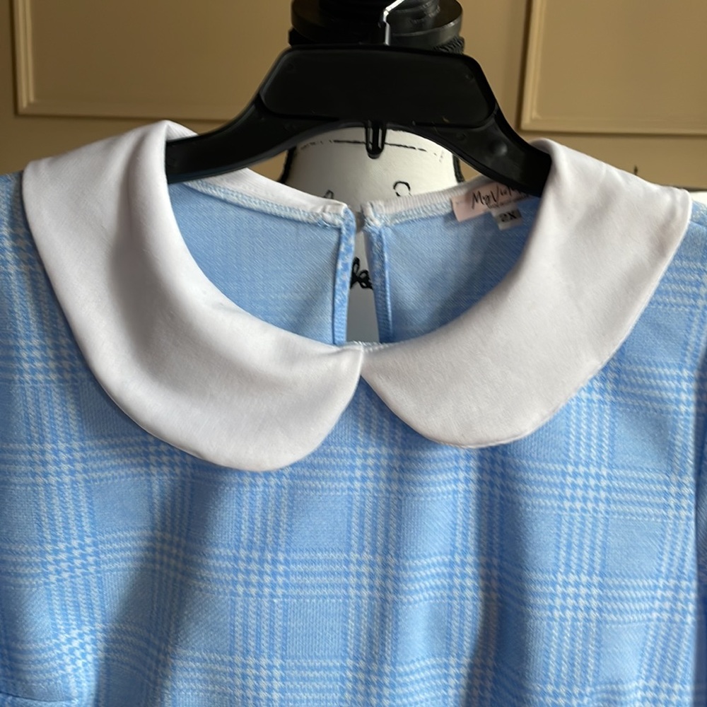 My Violet “Debbie” Long Sleeve Crop Top in Blue Plaid - Picture 5 of 5